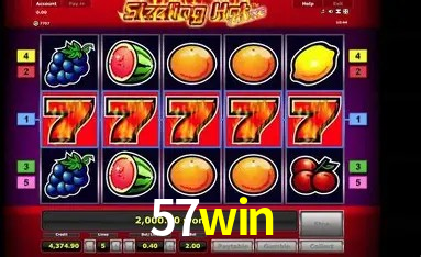 Interface Premium 57win